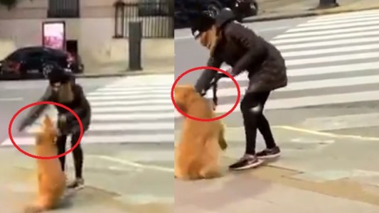 Escrachan a la mujer que le dio una golpiza a su perro en plena calle de Buenos Aires