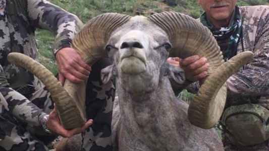 El hombre que mató a dos animales en peligro de extinción