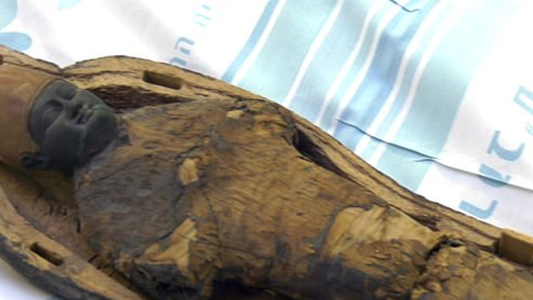 Descubren en Egipto una momia no humana