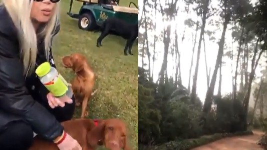 Susana Giménez festejó el "Día del Perro" con un paseo con su hermano