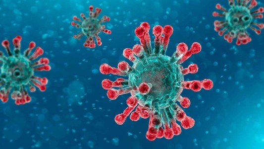 ¿”El” Covid o “la” Covid? ¡Esto sentenció la RAE!