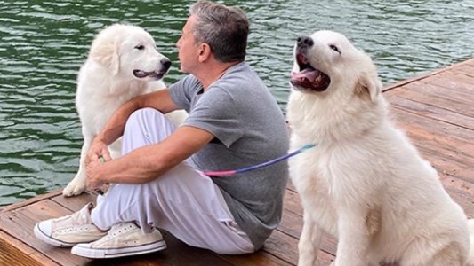 Ricardo Montaner subió un tierno video y los usuarios explotaron de amor