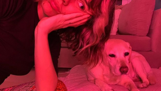 El tierno mensaje de Gimena Accardi a su mascota