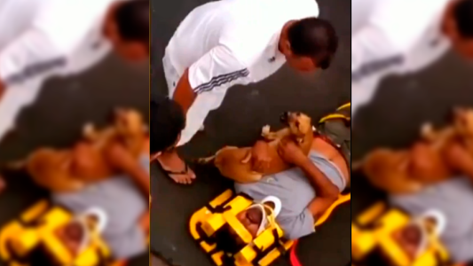 El perro más fiel del mundo: acompañó a su dueño mientras lo llevaban los paramédicos