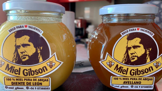 "Miel Gibson": un emprendimiento chileno podría ser denunciado por el famoso actor