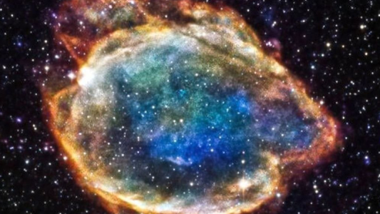 Una supernova pudo causar una extinción en la tierra
