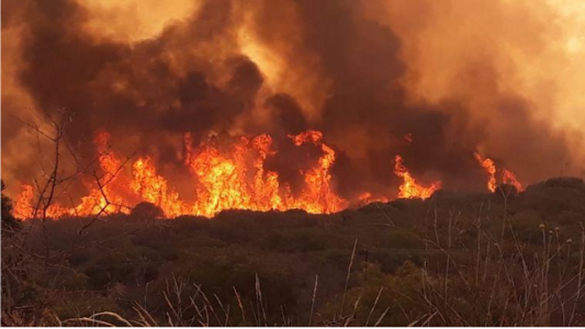 Incendio forestal en Córdoba: está "descontrolado y explosivo"