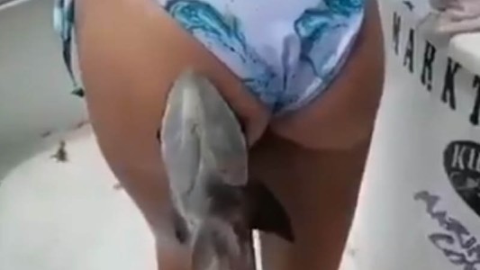 Un tiburón bebé le mordió la cola y no se lo pudo sacar