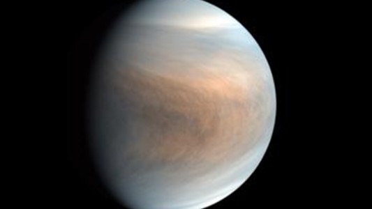 Descubren indicios de vida en Venus