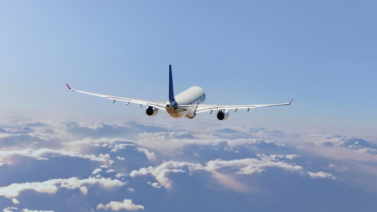 Bebé a bordo: nació en pleno vuelo y tendrá pasajes gratis para siempre