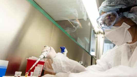 Fin del misterio: la OMS confirma el origen del COVID