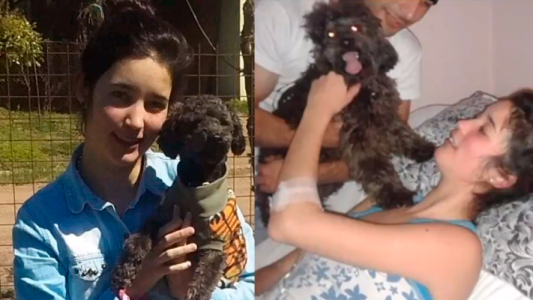 La historia de Benito: un perro incondicional