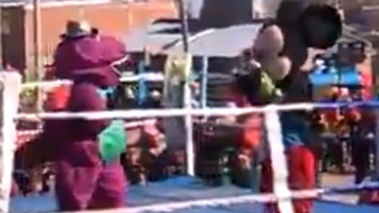 Mickey Mouse y Barney a las piñas arriba de un ring