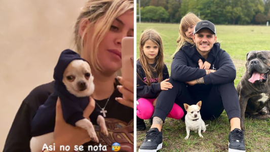 Wanda Nara cambió el look de su mascota sin querer