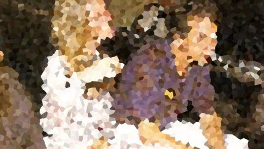 ¡La foto que confirma que Boy Olmi y Carola Reyna son la mejor pareja que existe!