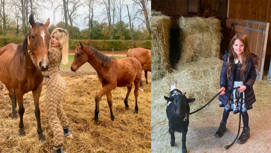 La desopilante cantidad de animales que tiene Wanda Nara en su casa de campo