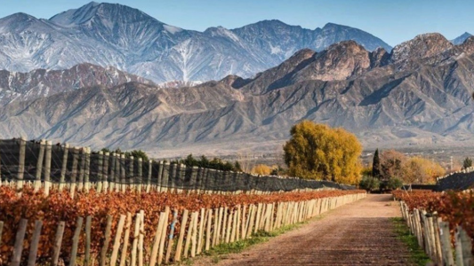 10 provincias que no exigen hisopado ni cuarentena para visitar