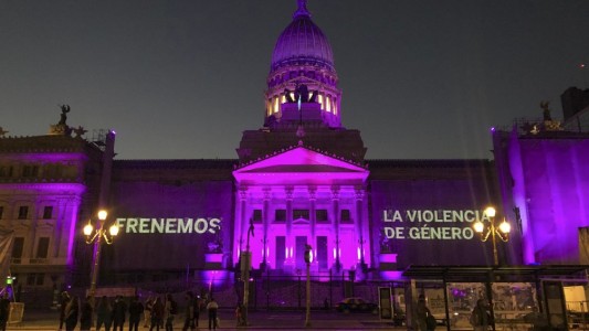 El Congreso de la Nación se iluminó de violeta