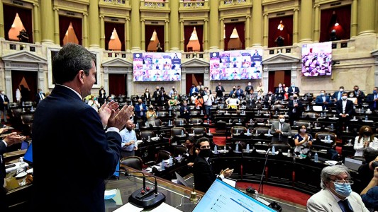 La cámara de Diputados dio media sanción al aborto legal