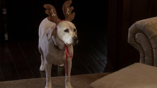 ¡Viví la navidad en Pluto Tv!