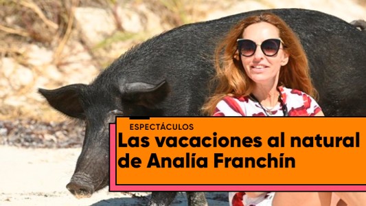 Las vacaciones con cerdos de Analía Franchín