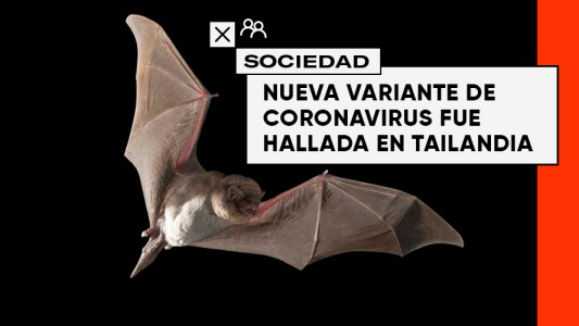 Advierten la presencia de un nuevo coronavirus en Tailandia