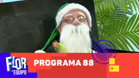 Programa 88