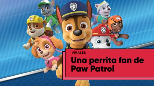 Una perrita fan de Paw Patrol