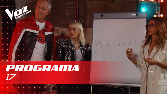 Programa 17
