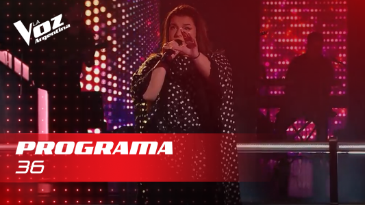 Programa 36