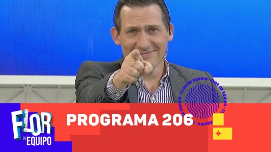 Programa 206