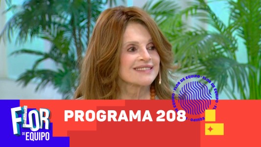 Programa 208