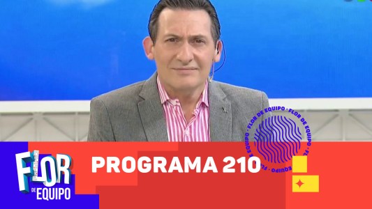 Programa 210