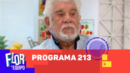 Programa 213