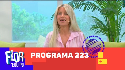 Programa 223