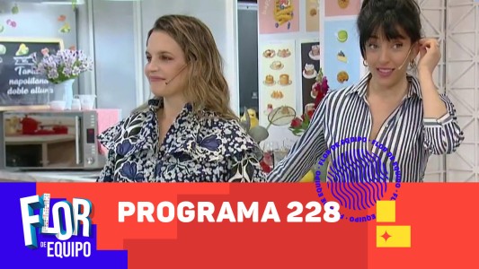Programa 228