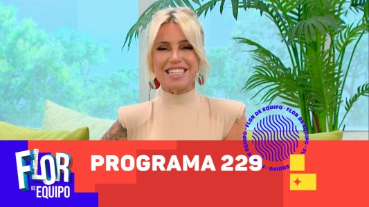 Programa 229