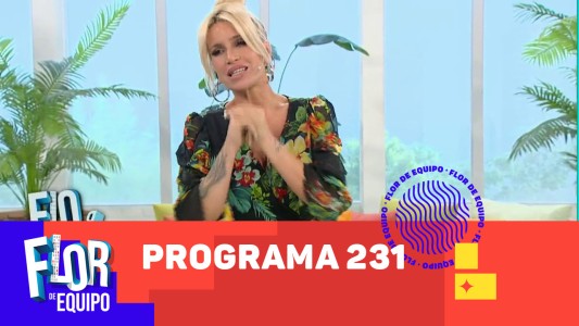 Programa 231