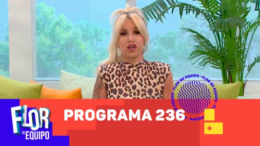 Programa 236