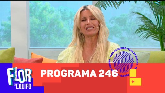 Programa 246