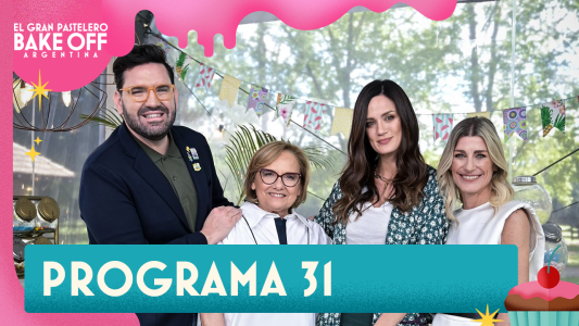 Programa 31