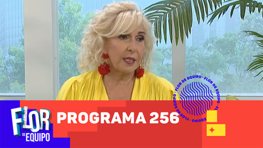 Programa 256