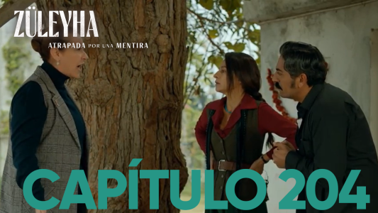 Capítulo 204