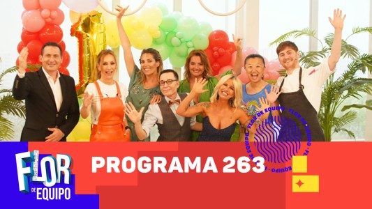 Programa 263