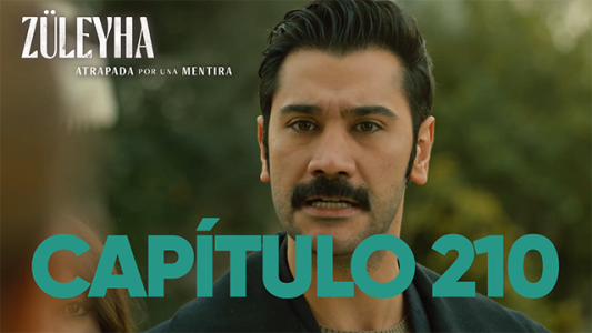 Capítulo 210