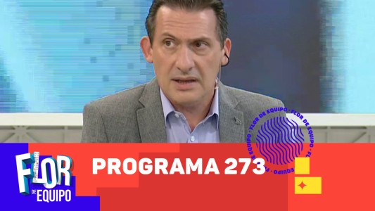 Programa 273