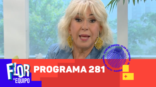 Programa 281