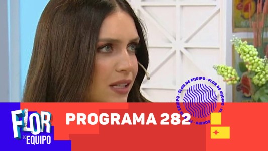 Programa 282