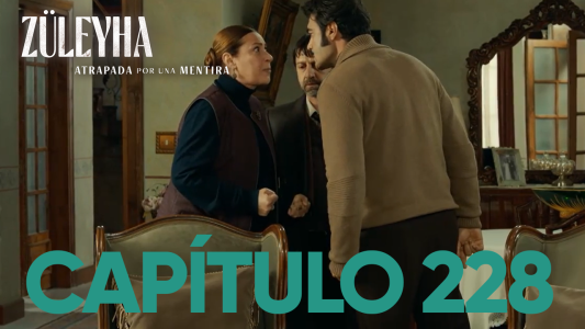 Capítulo 228