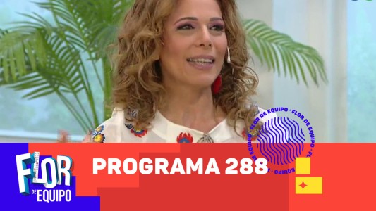 Programa 288